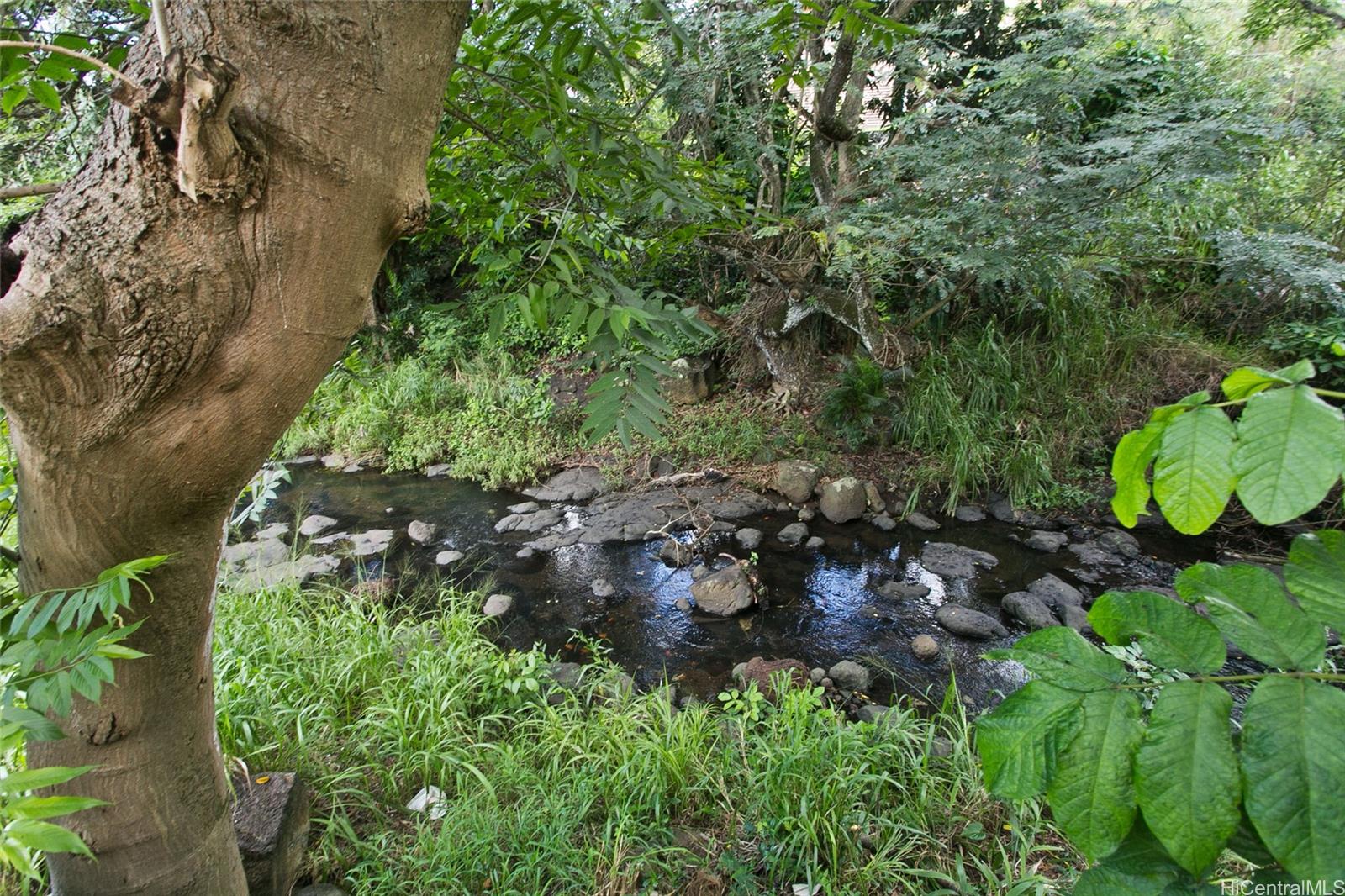 Photo 22 of 25