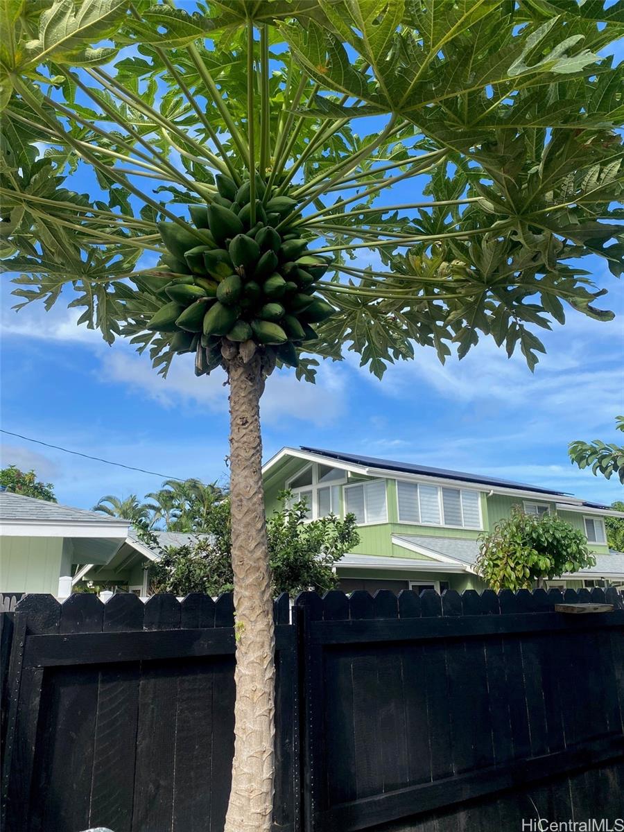 Photo 18 of 18