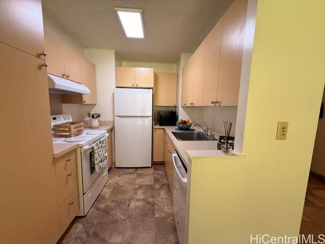 Photo 11 of 24