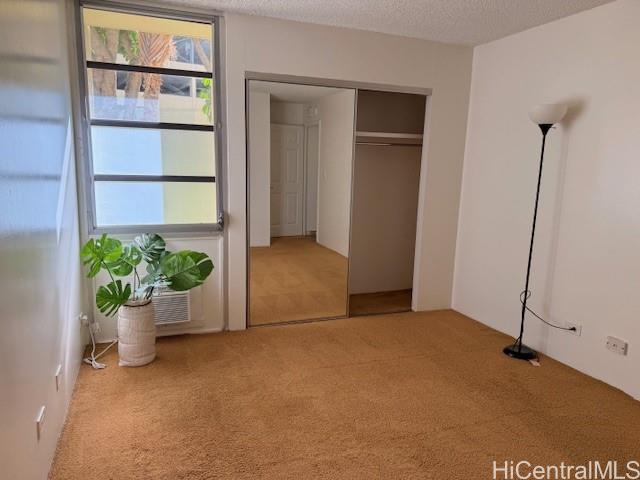 Photo 16 of 24
