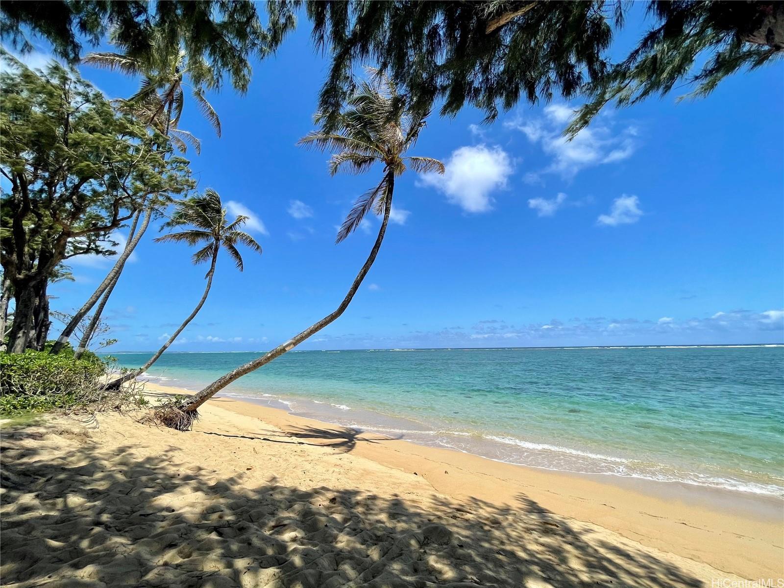 53-549 Kamehameha Highway 519