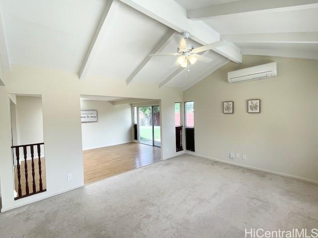 Photo 11 of 25