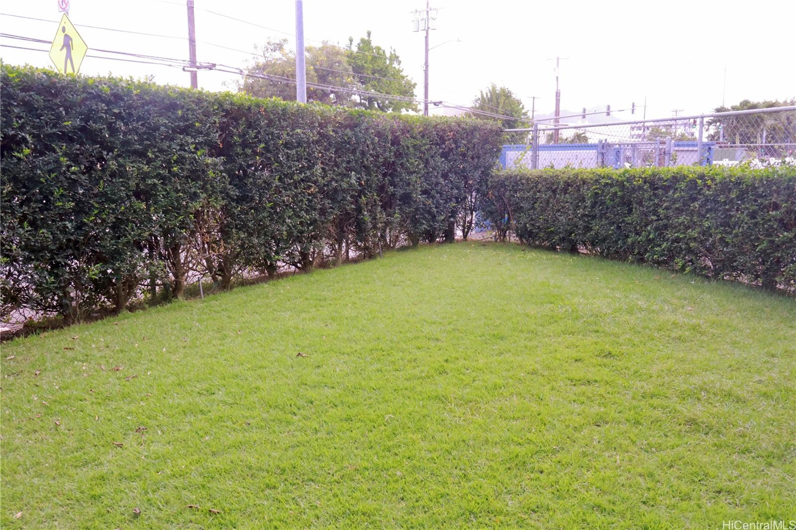 Photo 11 of 13
