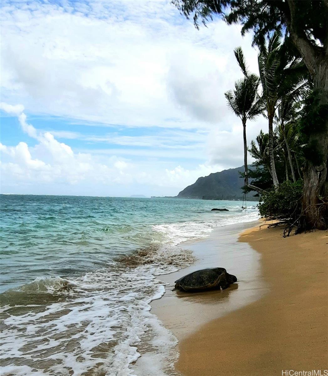 53-549 Kamehameha Highway  Unit 110