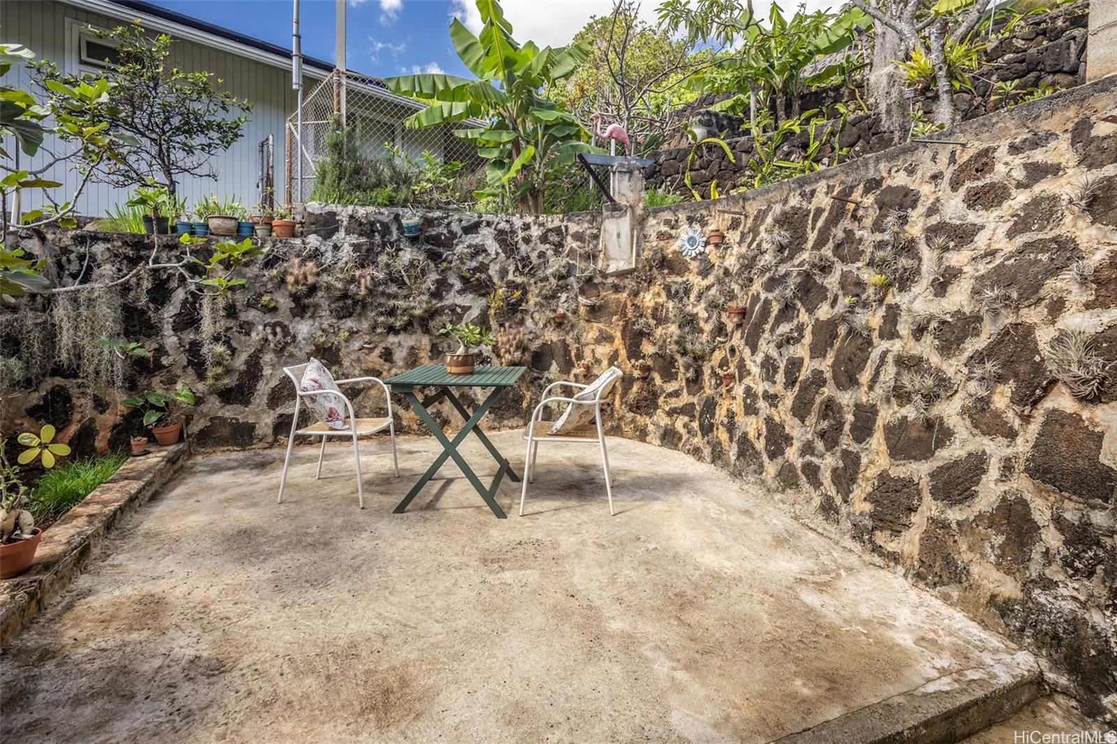 Photo 17 of 25