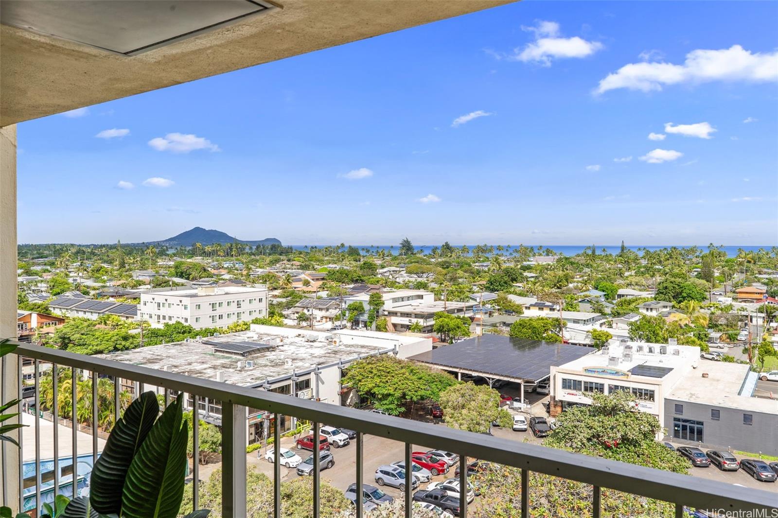 14 Aulike Street  Unit 904