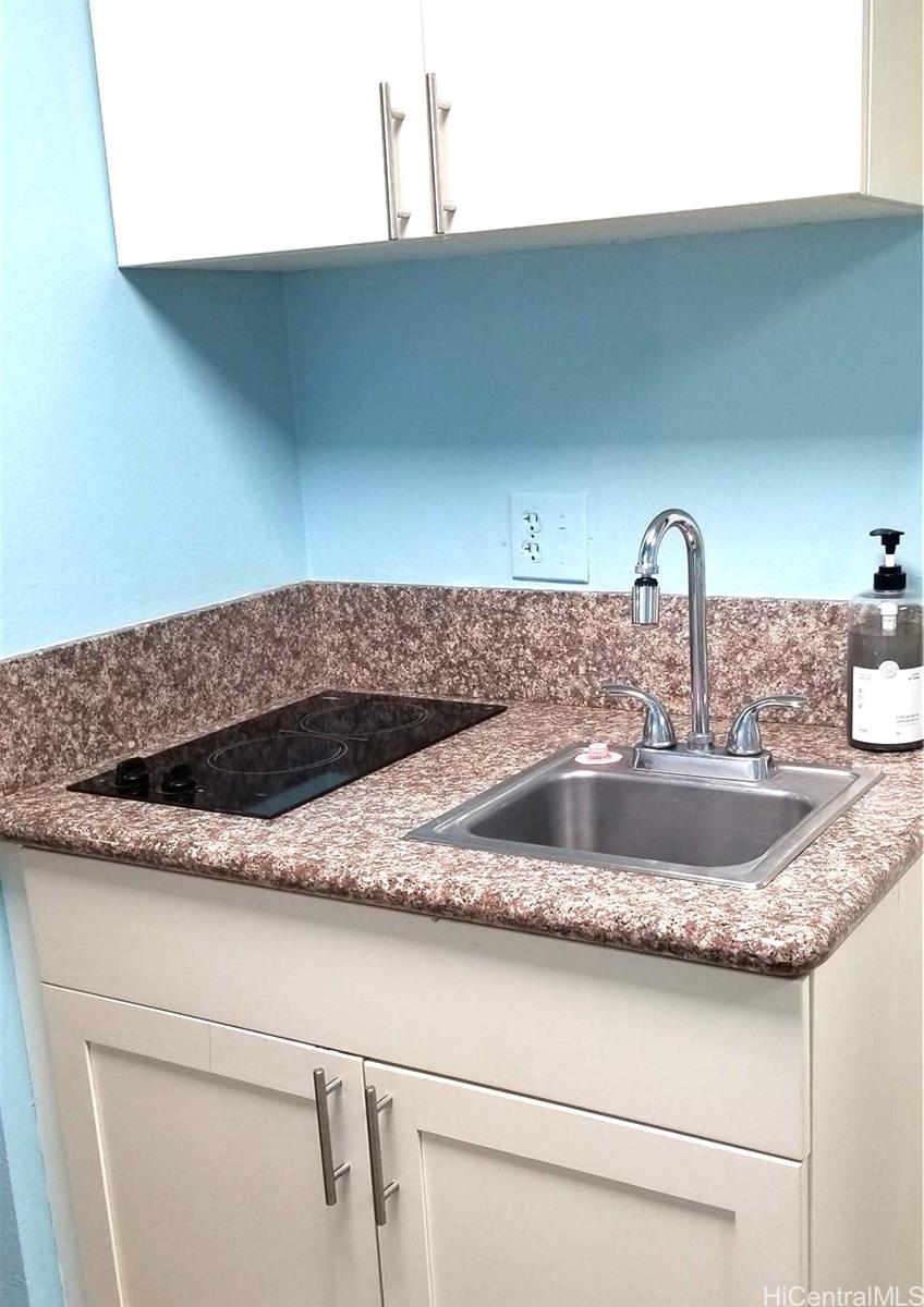 445 Seaside Avenue  Unit 1805