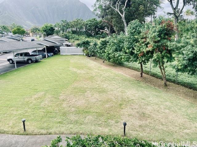 Photo 13 of 17