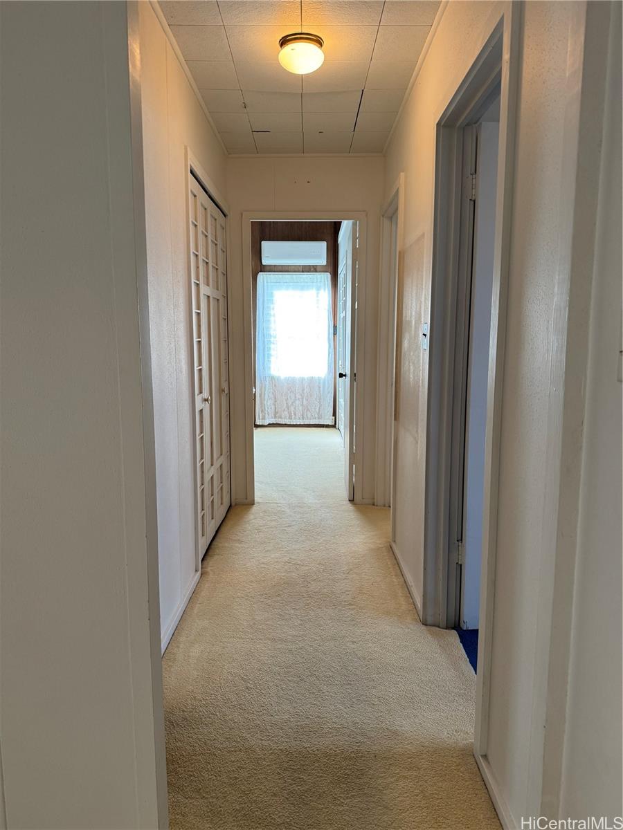 Photo 13 of 25