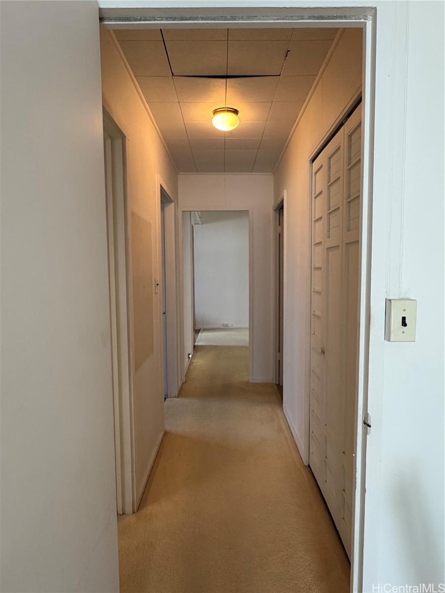 Photo 14 of 25