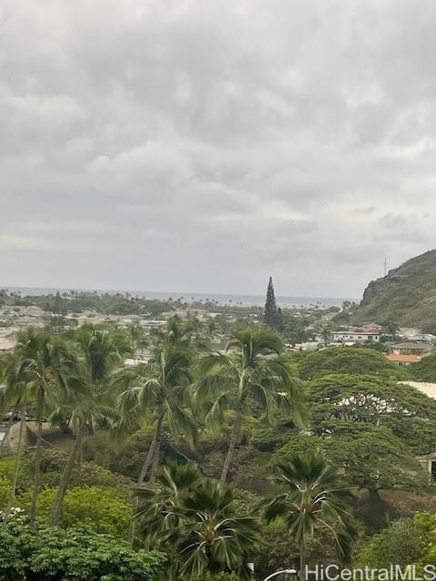 555 Hahaione Street  Unit 6D