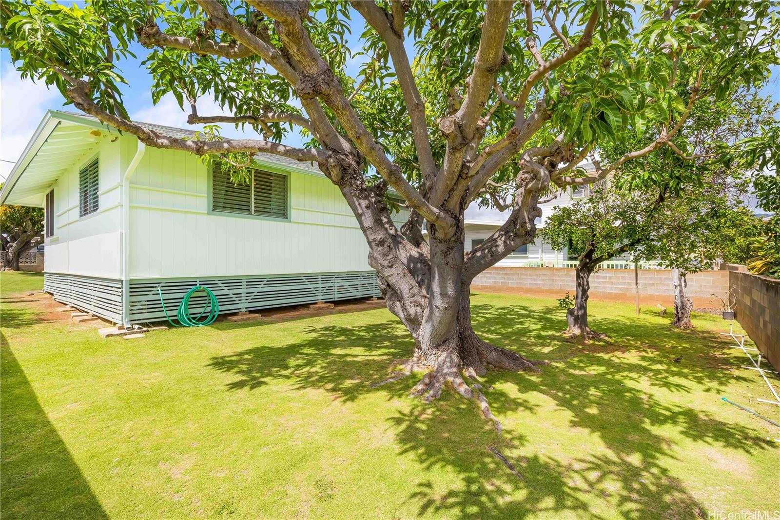 Photo 3 of 25