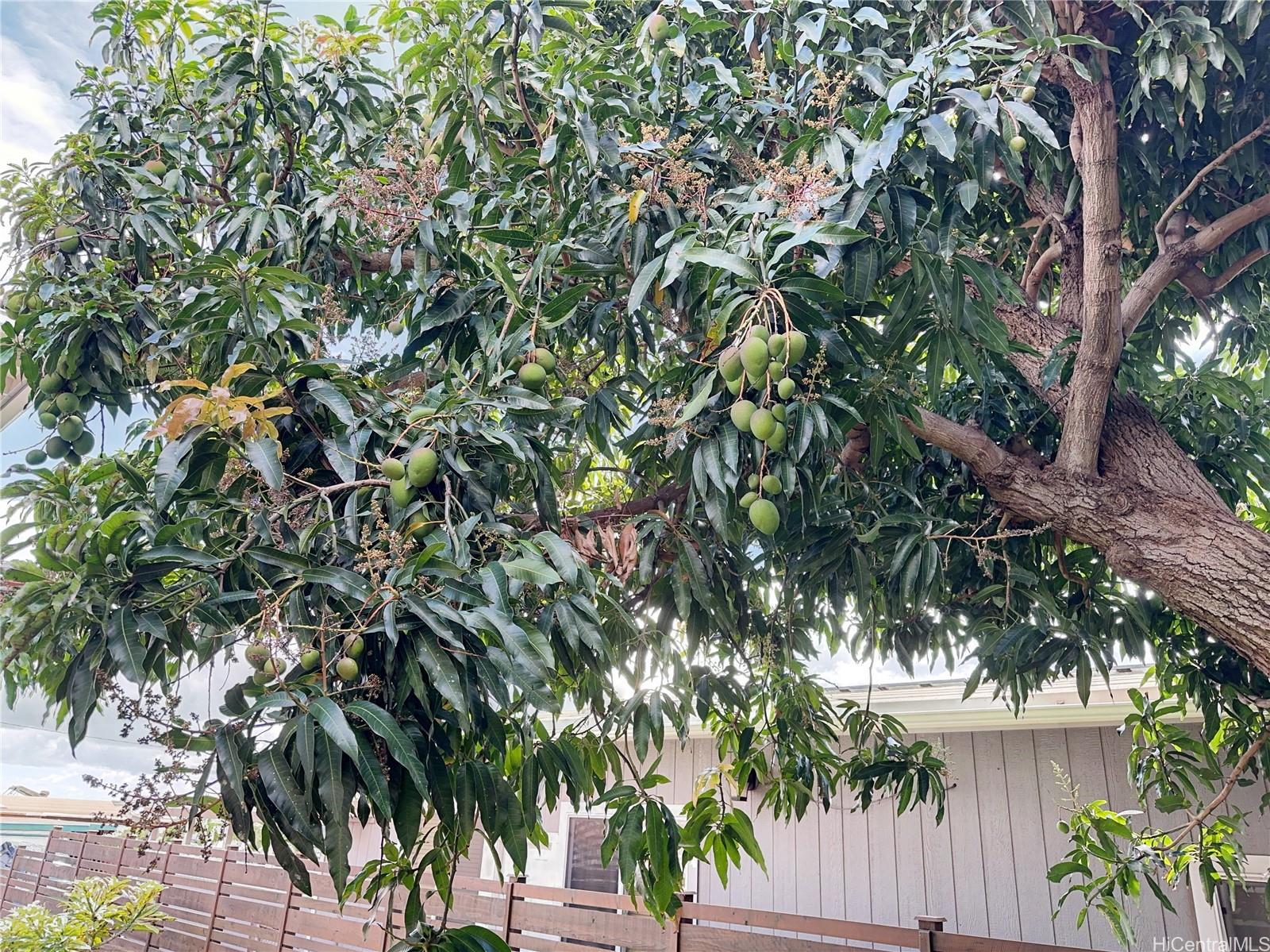 Photo 17 of 25