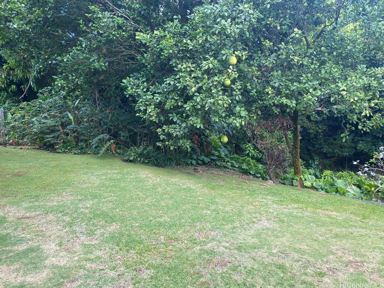 Photo 14 of 14