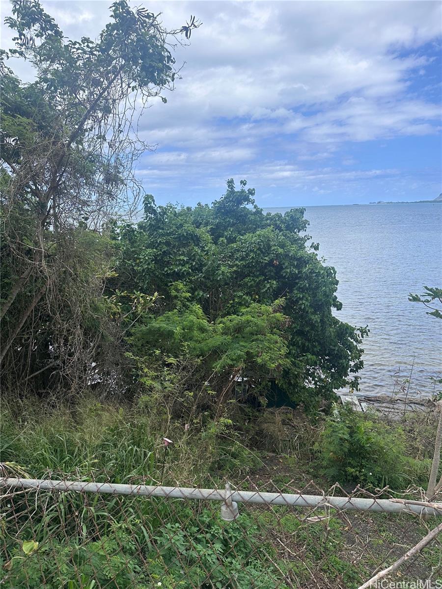 Lot 46 Kamehameha Highway