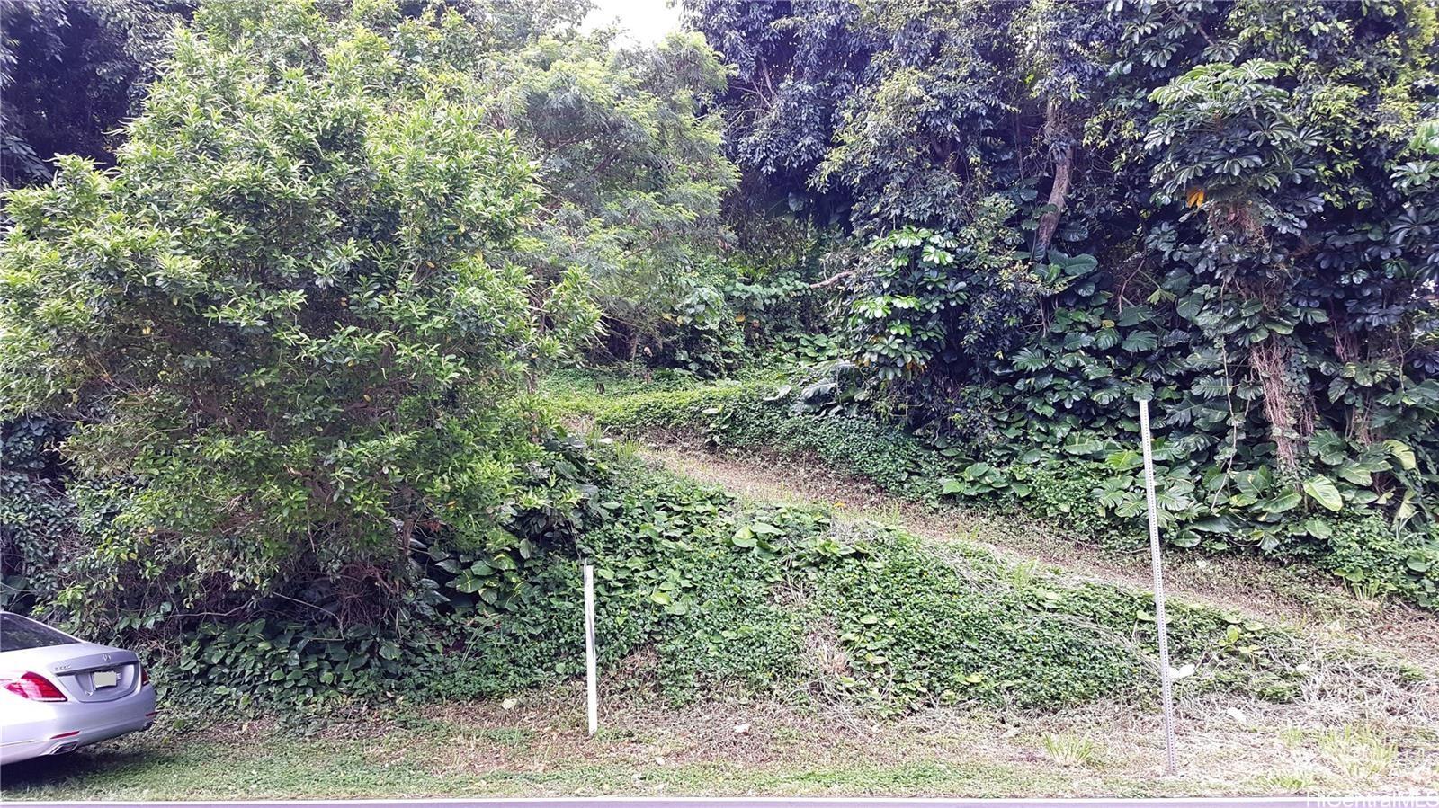 Photo 12 of 13