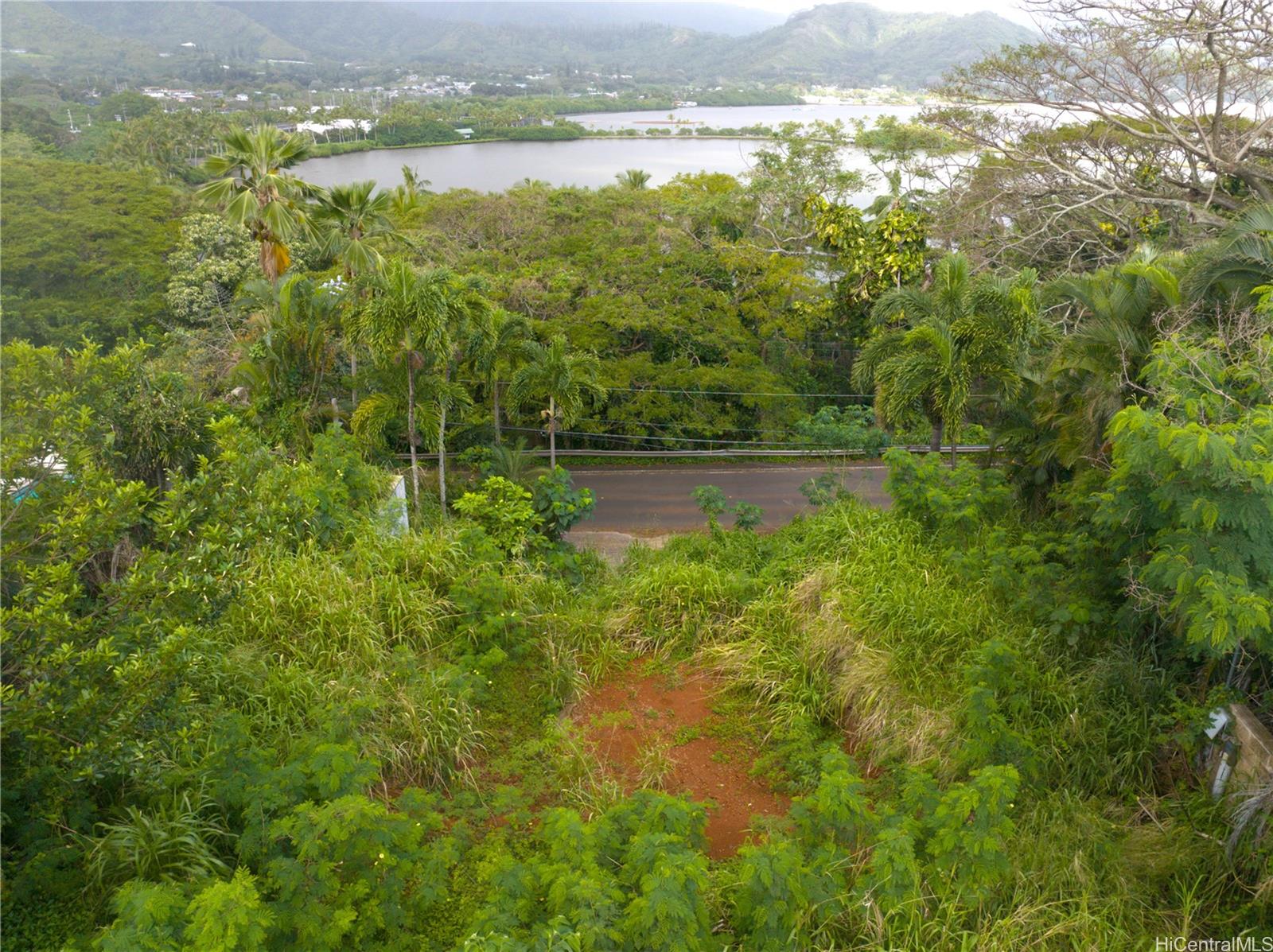 Photo 15 of 20