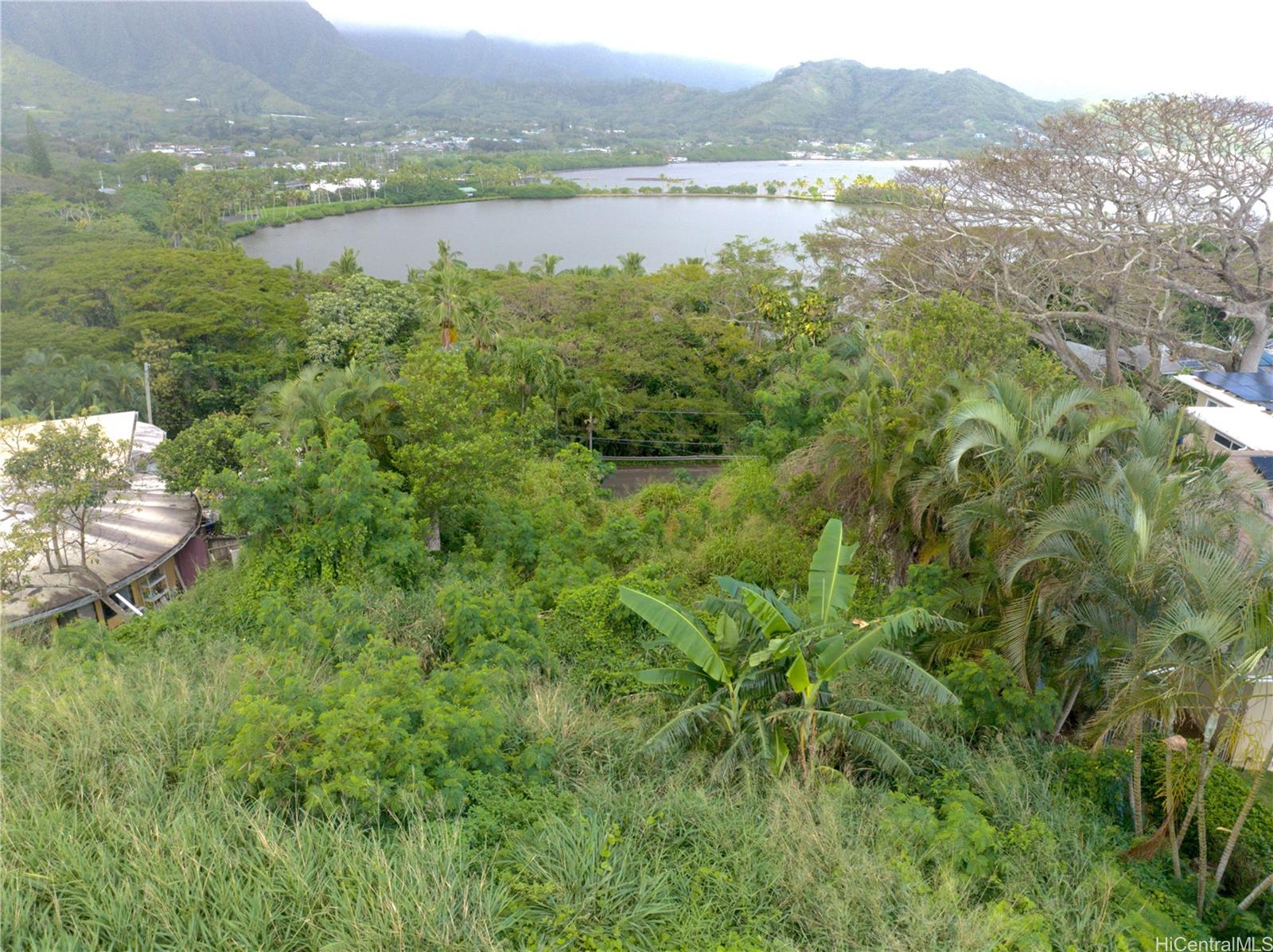 Photo 18 of 20