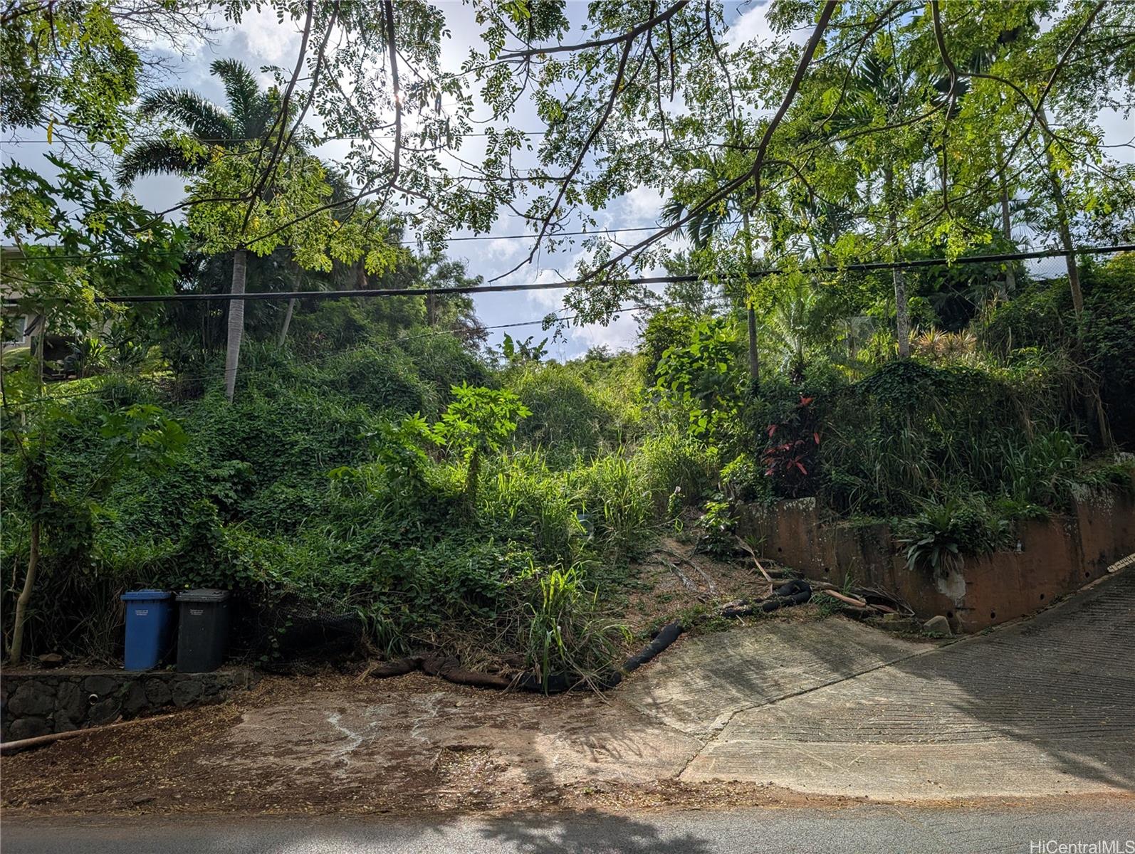 Photo 19 of 20