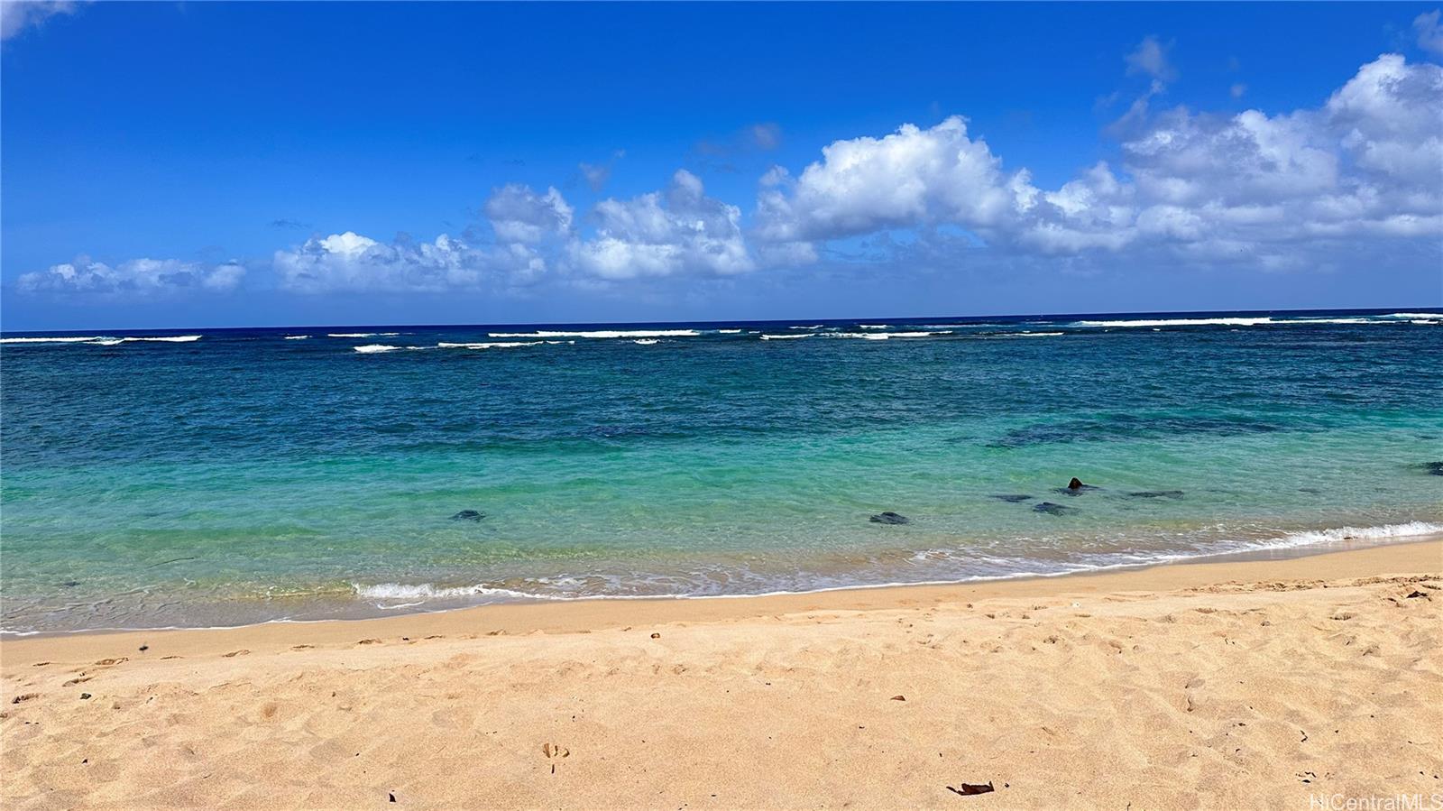 68-101 Waialua Beach Road  Unit 103