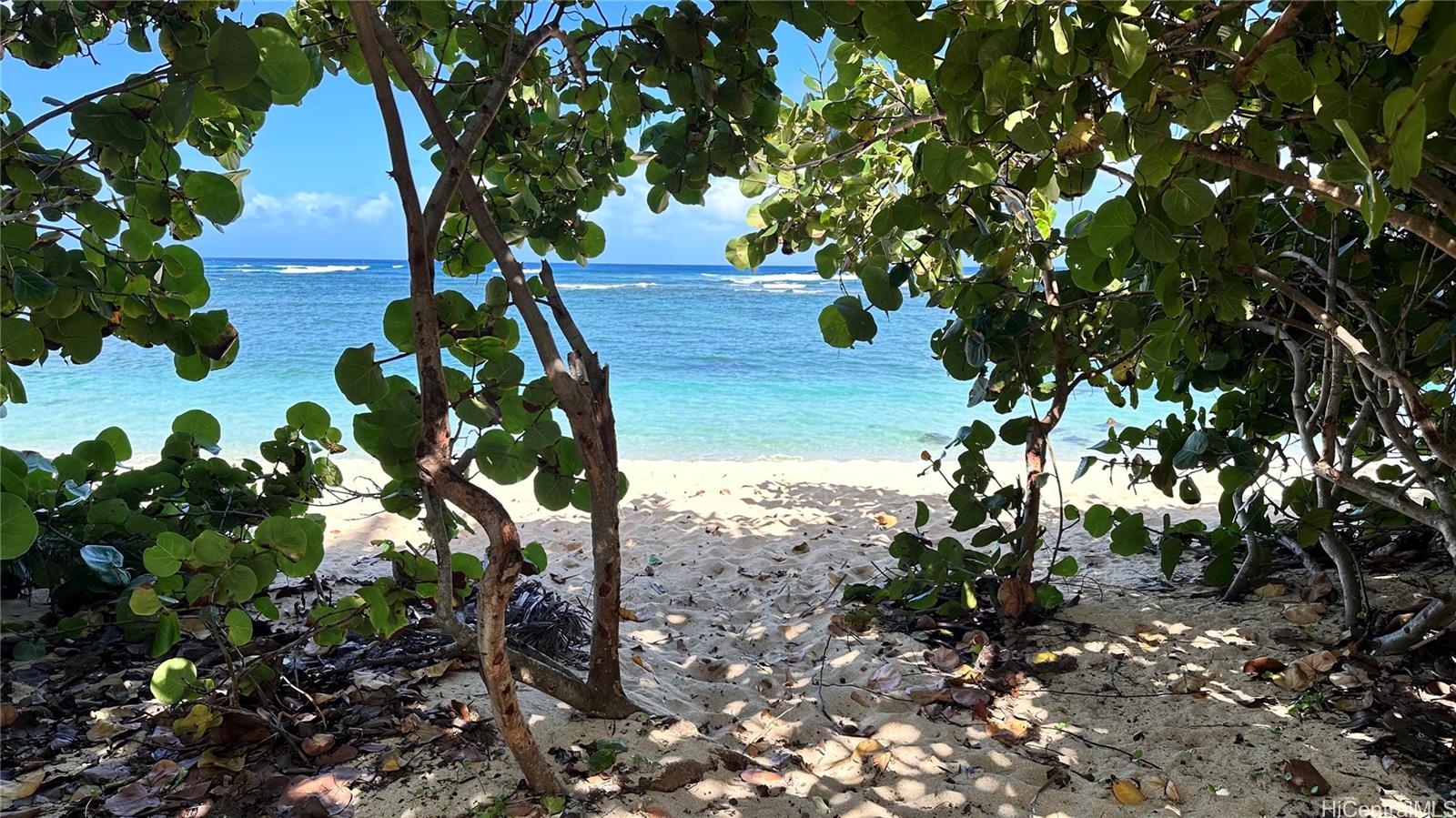68-101 Waialua Beach Road Unit 103 68-101 Waialua Beach Road Unit 103