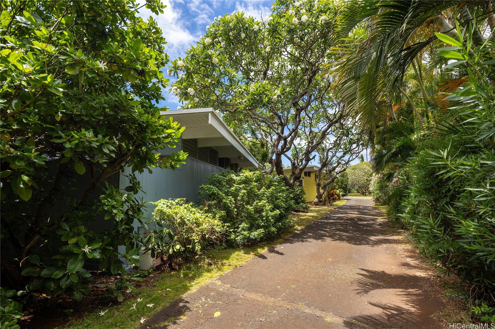 67-421 Waialua Beach Road