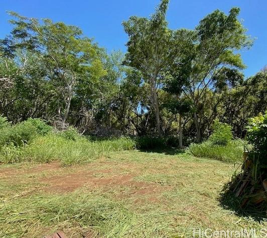 Photo 11 of 24