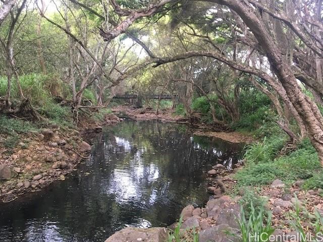 Photo 12 of 24