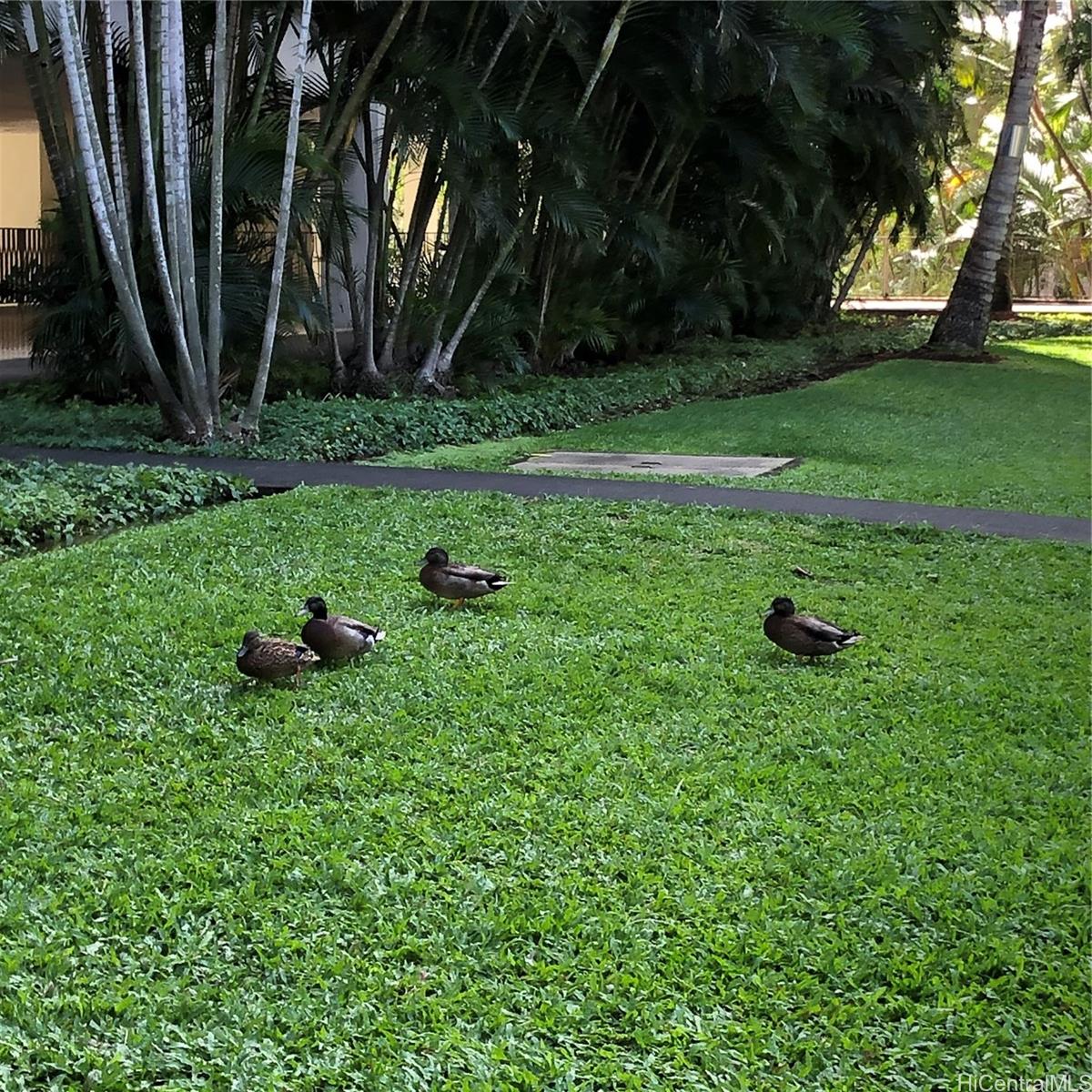 Photo 20 of 25