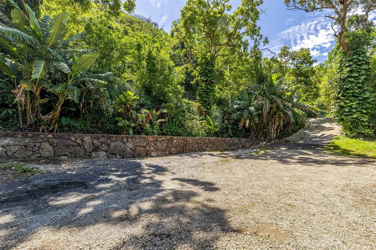 Photo 7 of 25