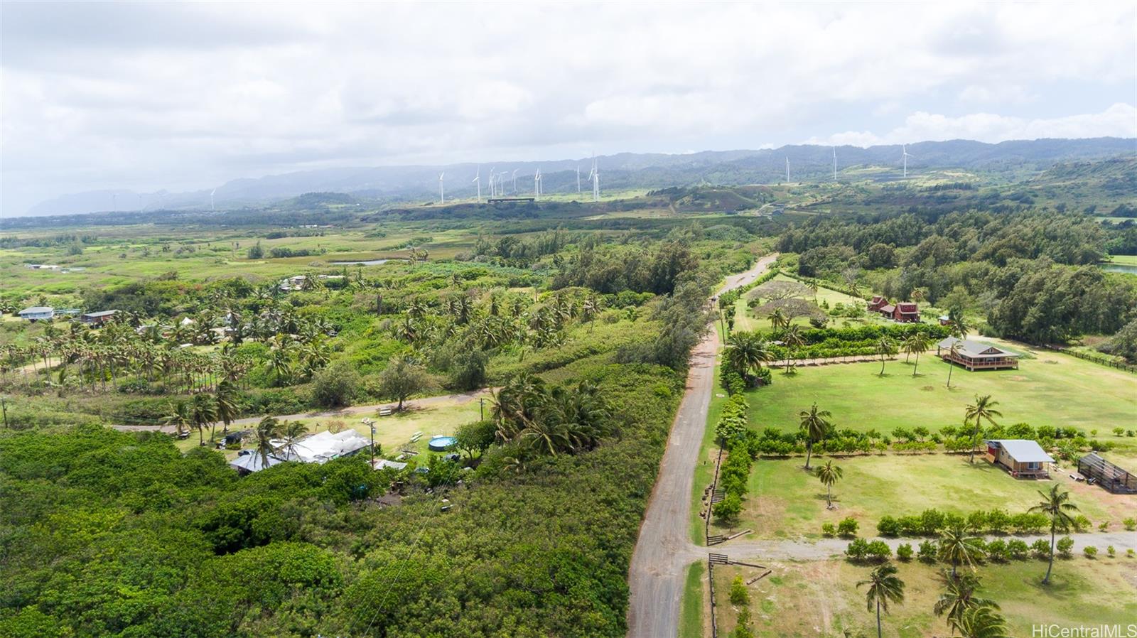 Photo 14 of 25