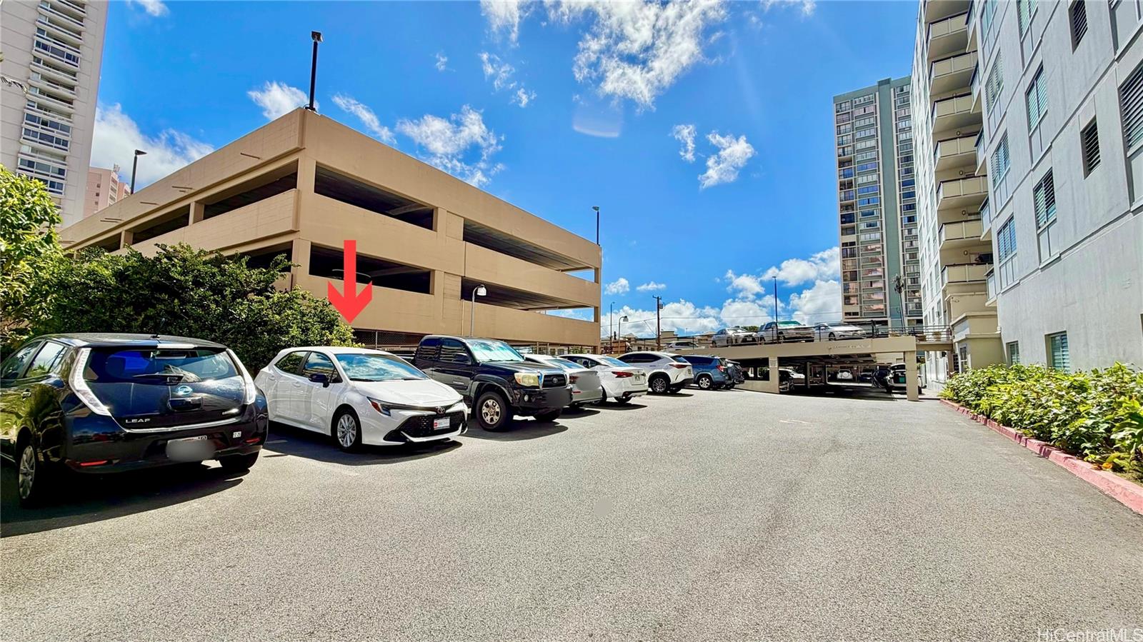 509 University Avenue  Unit 103