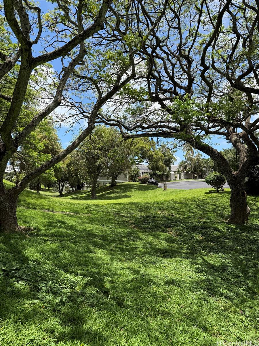 Photo 19 of 25