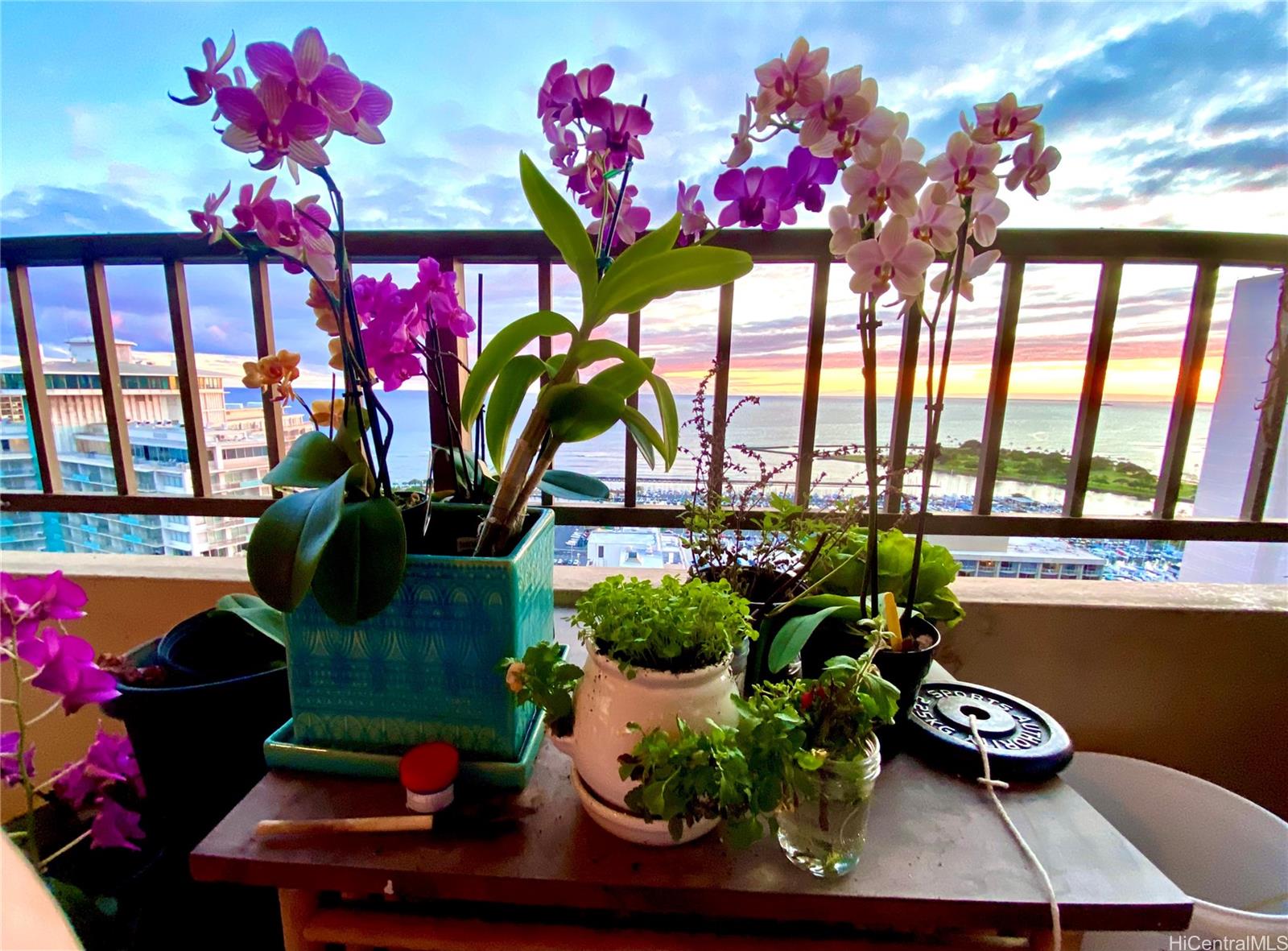 1778 Ala Moana Boulevard  Unit 3401