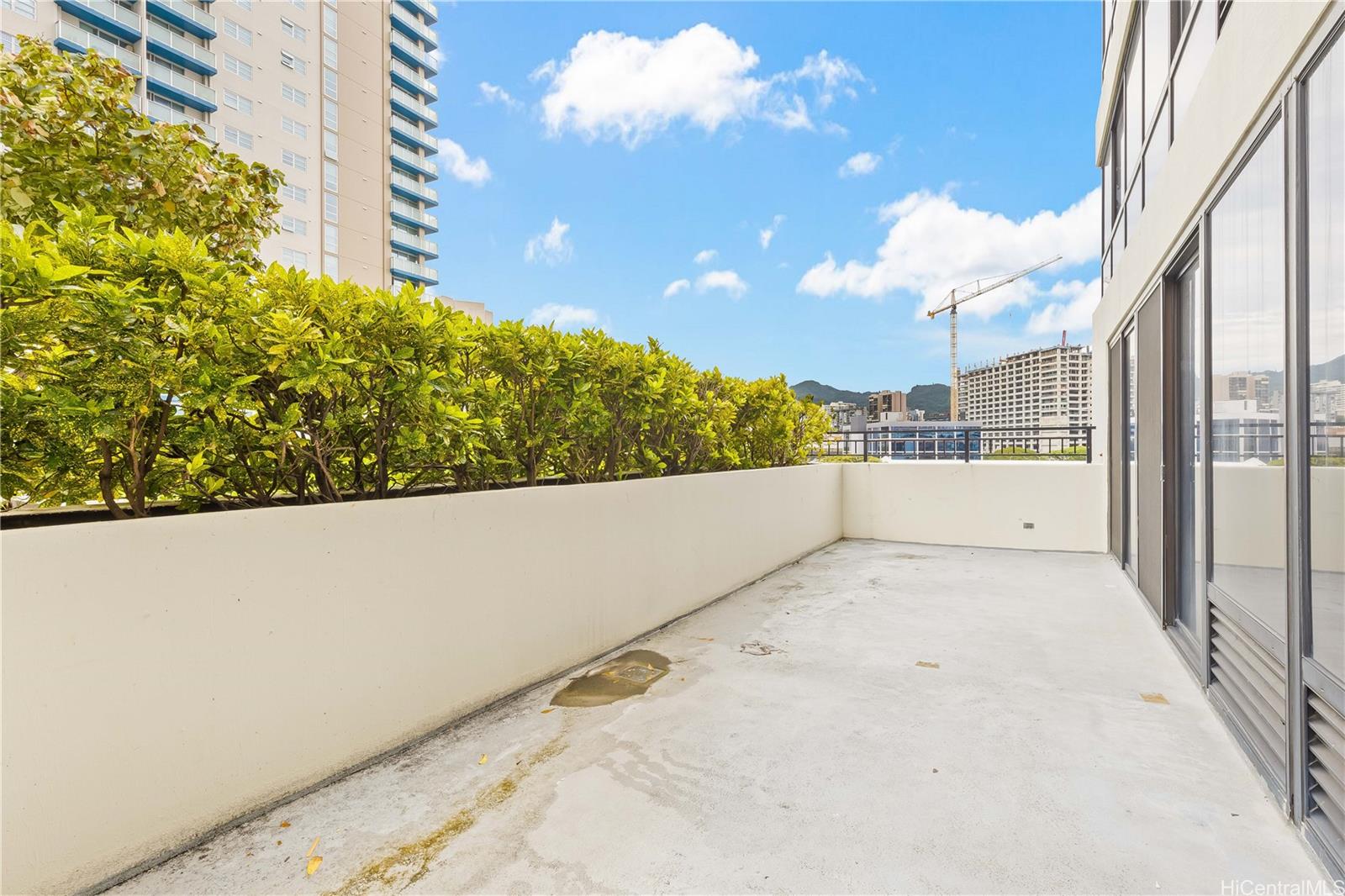 876 Curtis Street  Unit 605