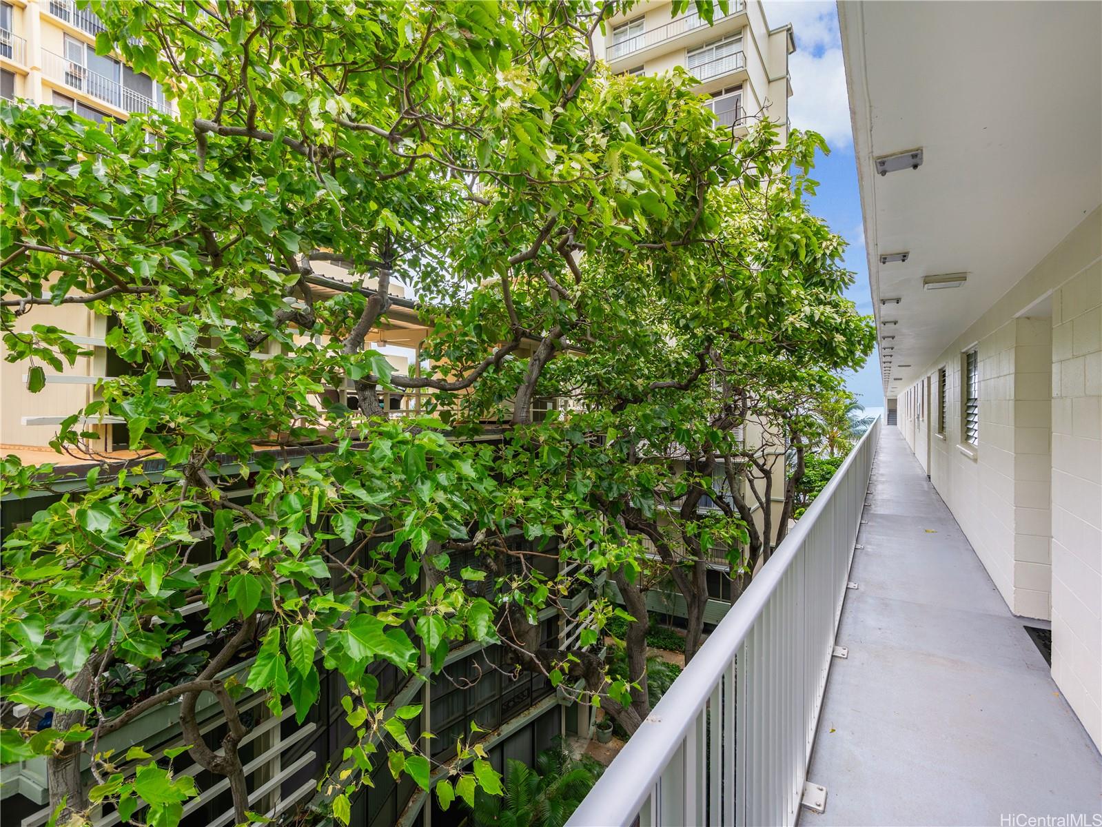 2937 Kalakaua Avenue  Unit 49