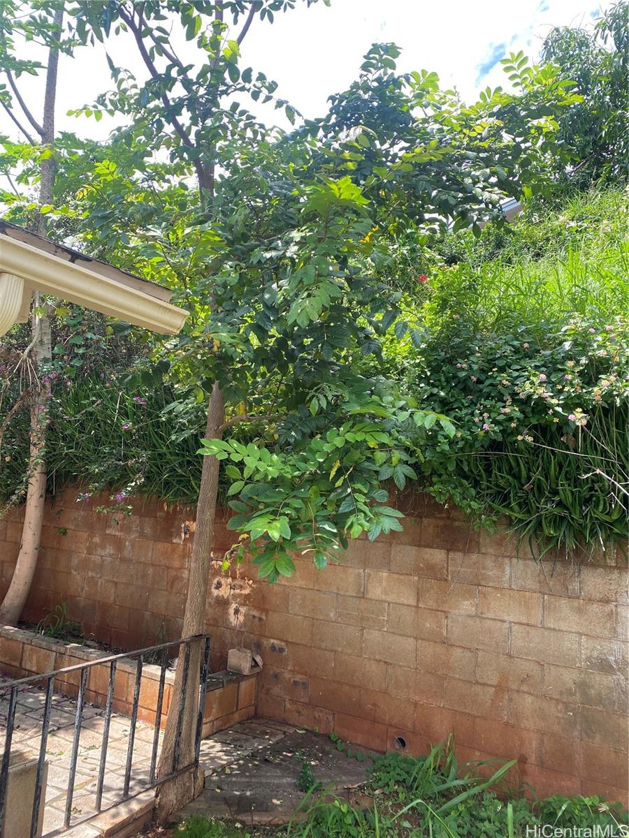 Photo 8 of 8