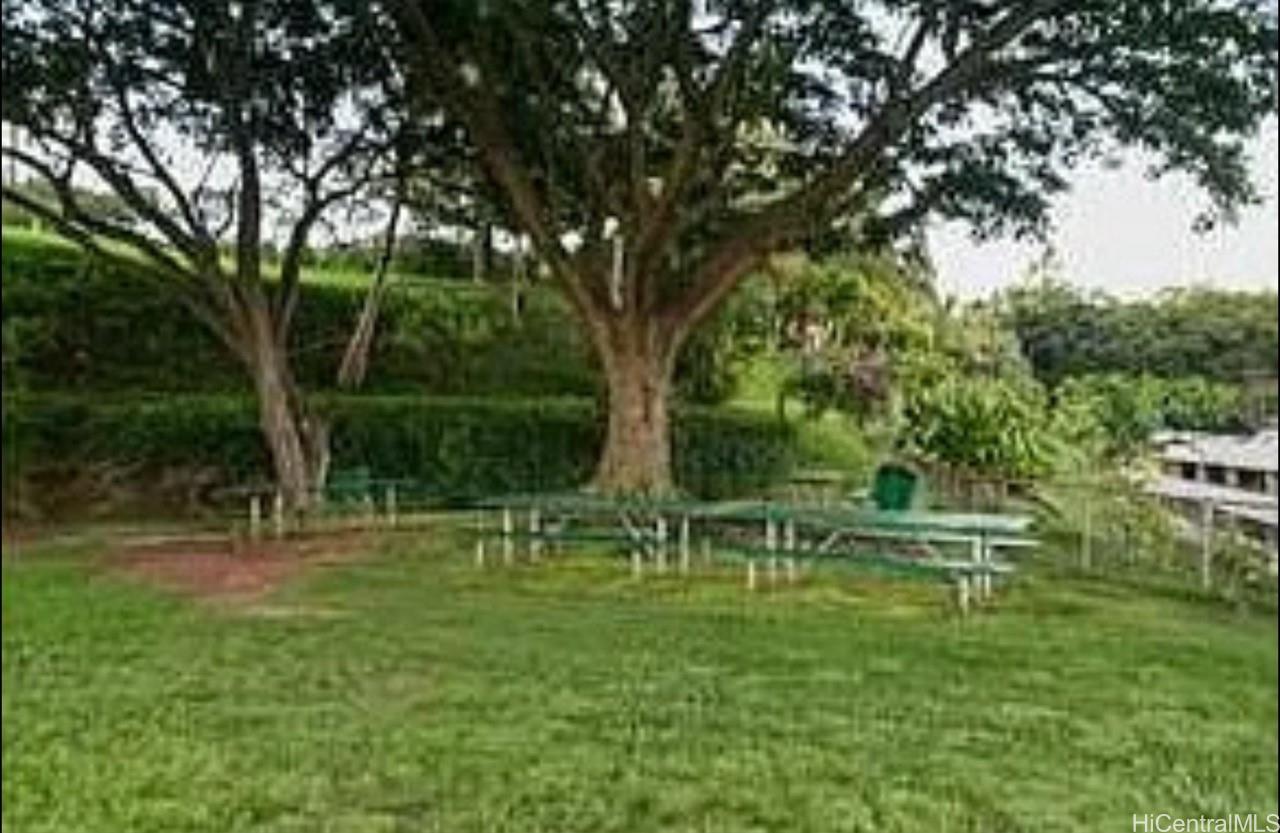 Photo 12 of 19
