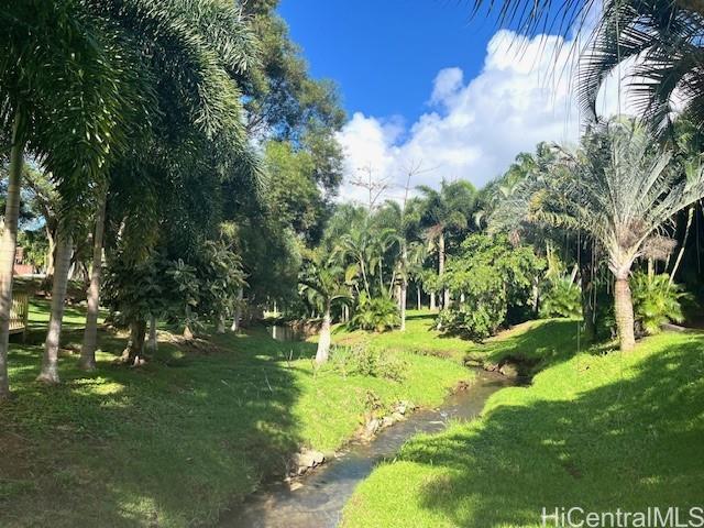 Photo 21 of 25