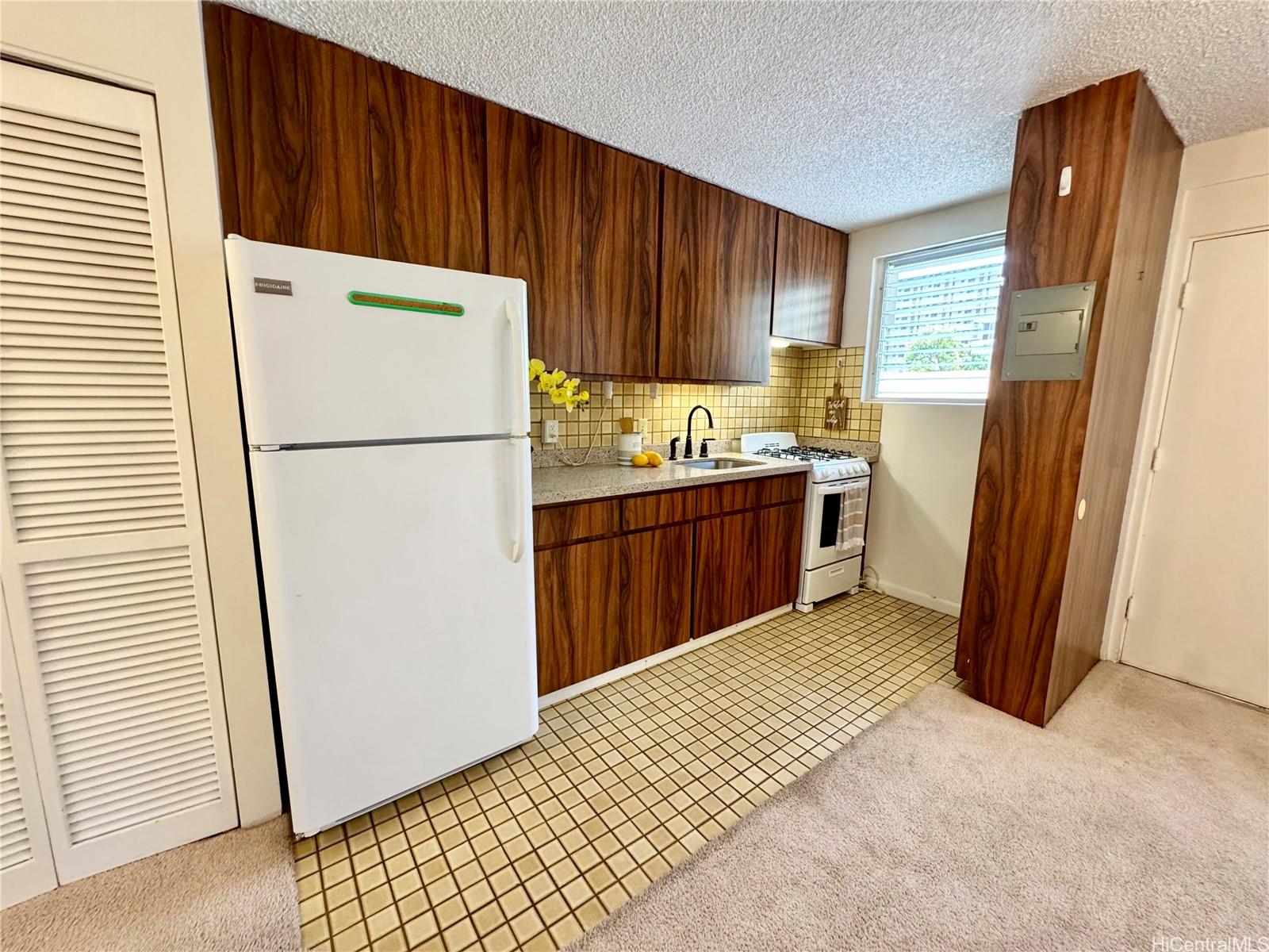 1036 Green Street  Unit 204