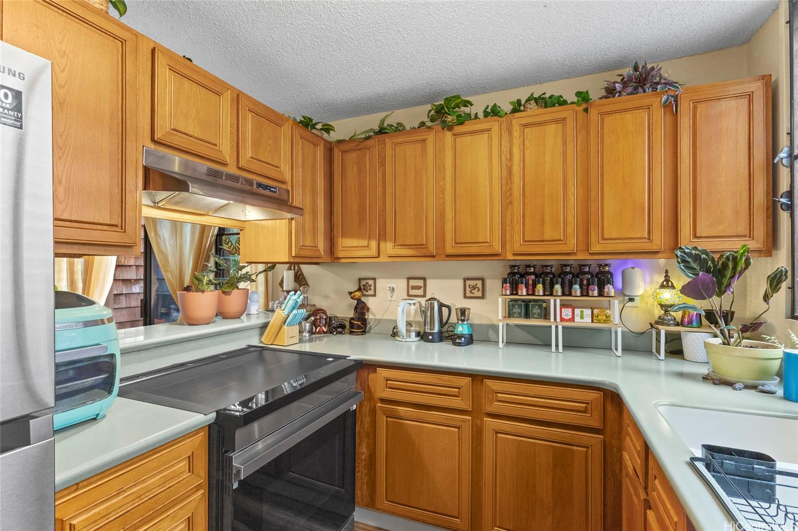 Photo 5 of 24