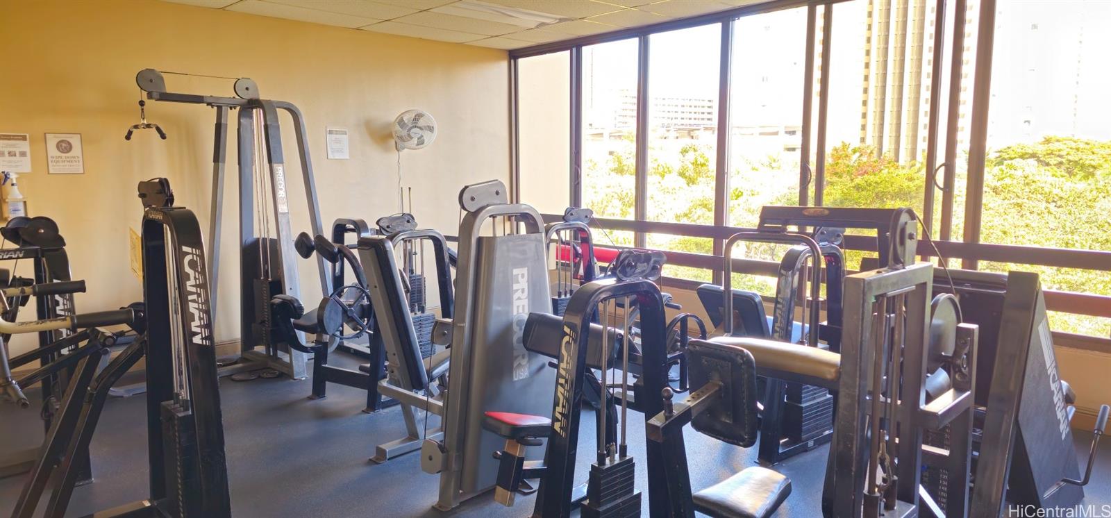 411 Hobron Lane  Unit 3705