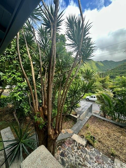 Photo 9 of 22