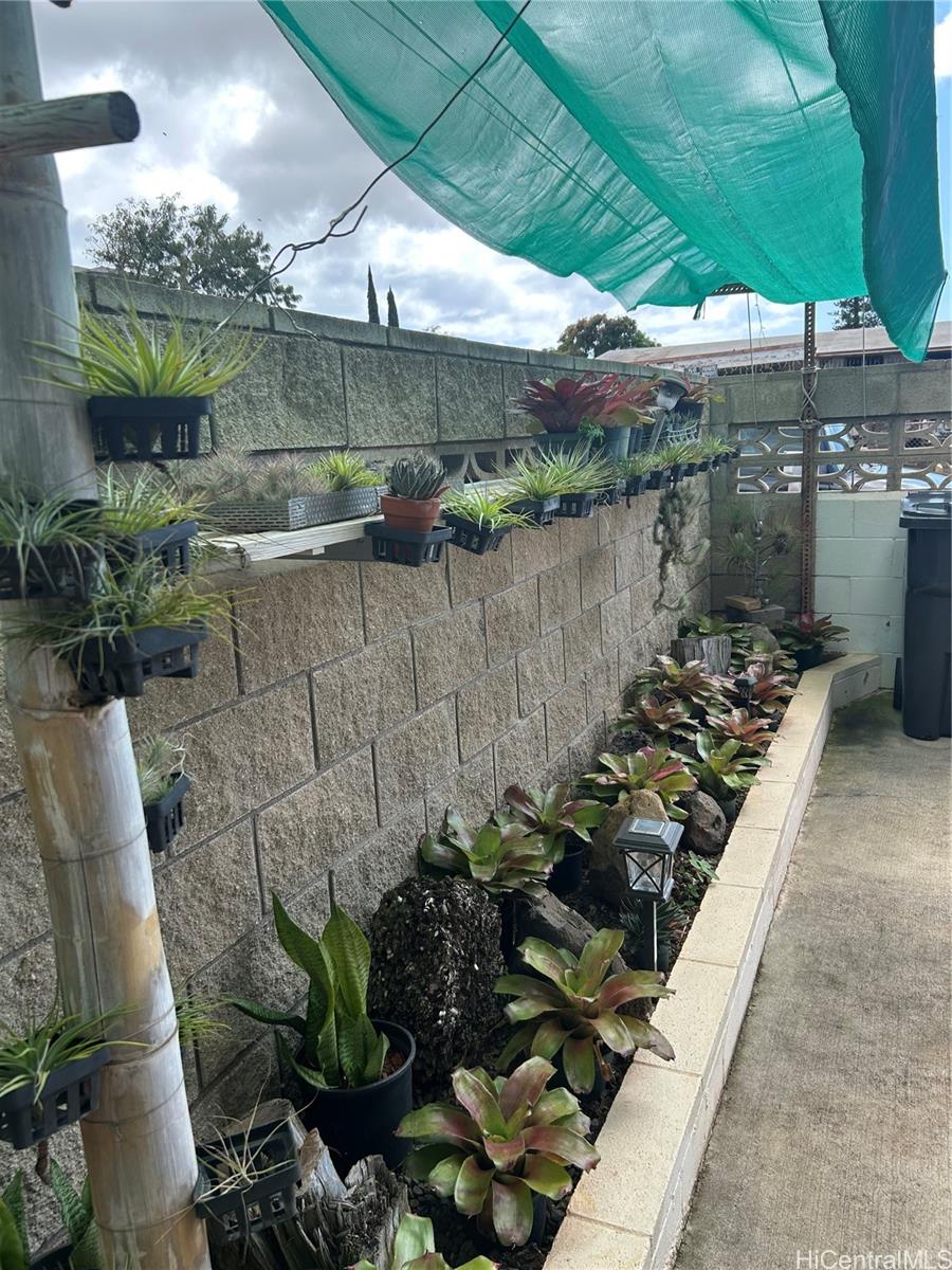 Photo 4 of 19