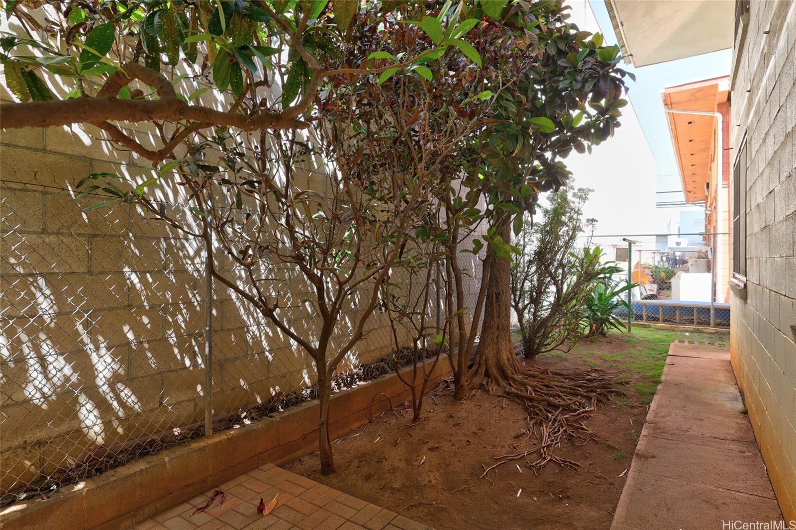 Photo 9 of 25