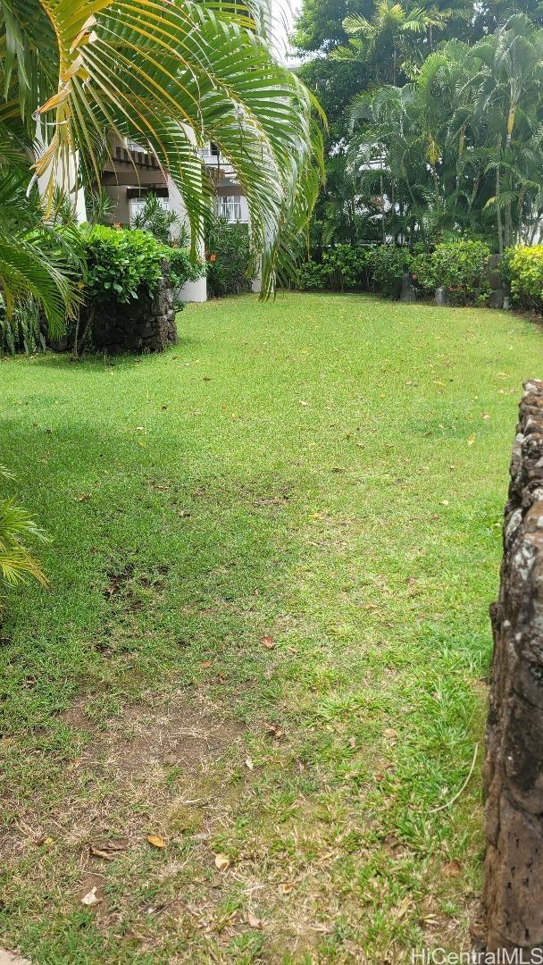 Photo 23 of 25