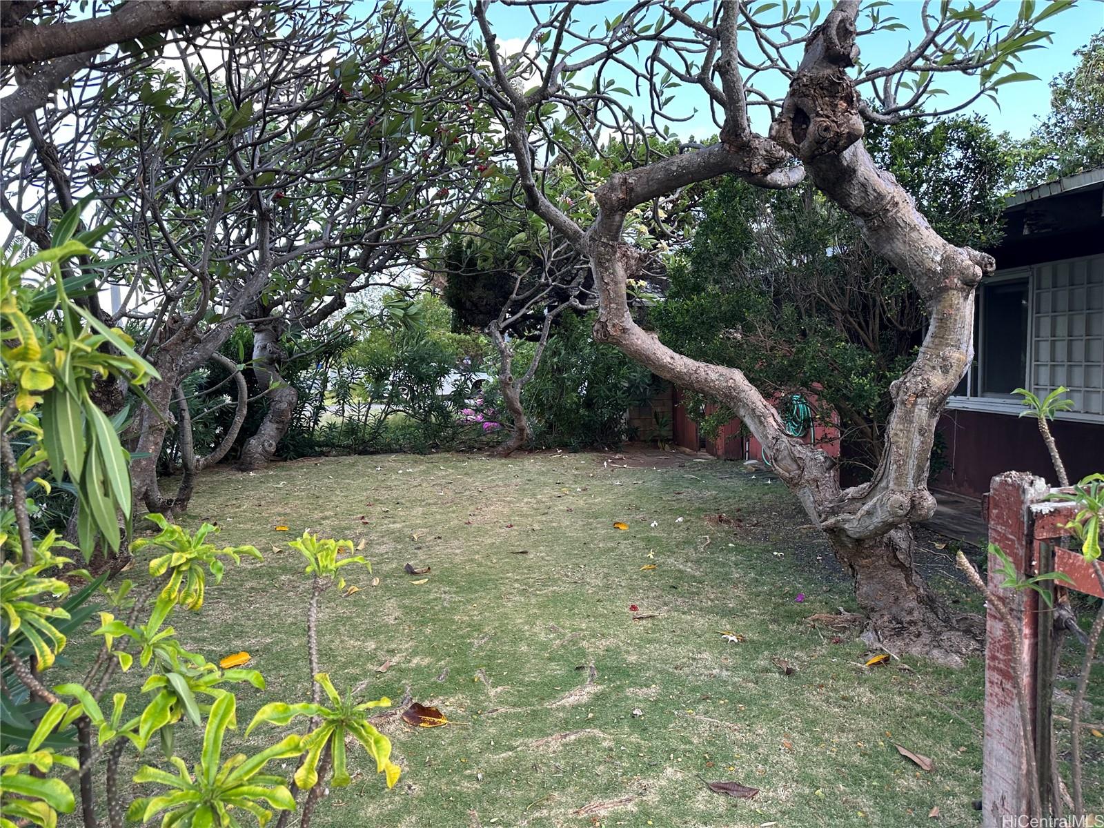 Photo 3 of 25