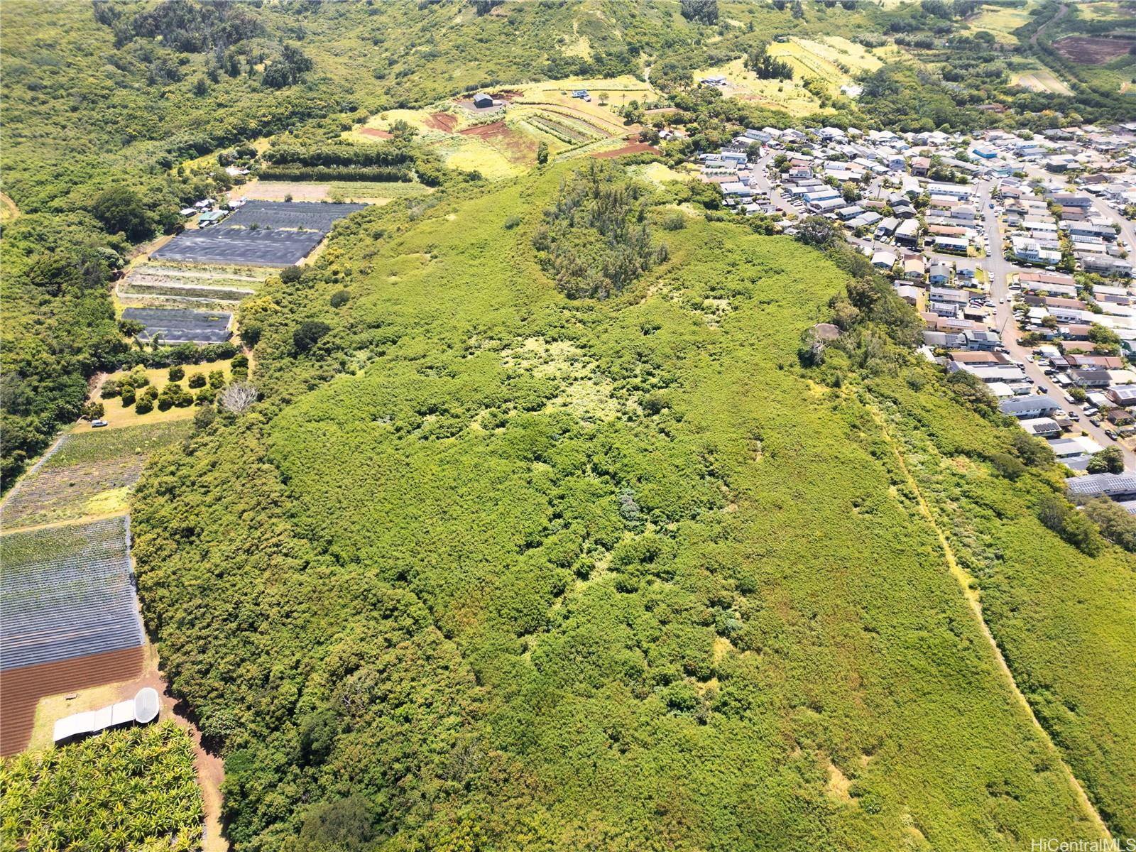 Photo 12 of 16