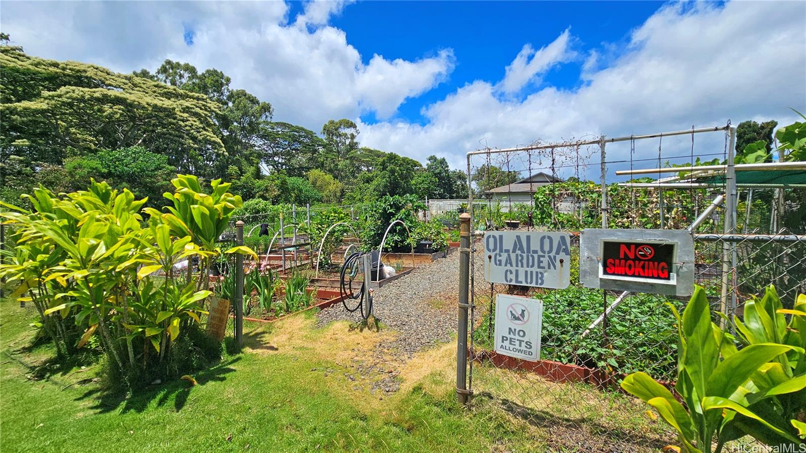95-1050 Makaikai Street  Unit 25F