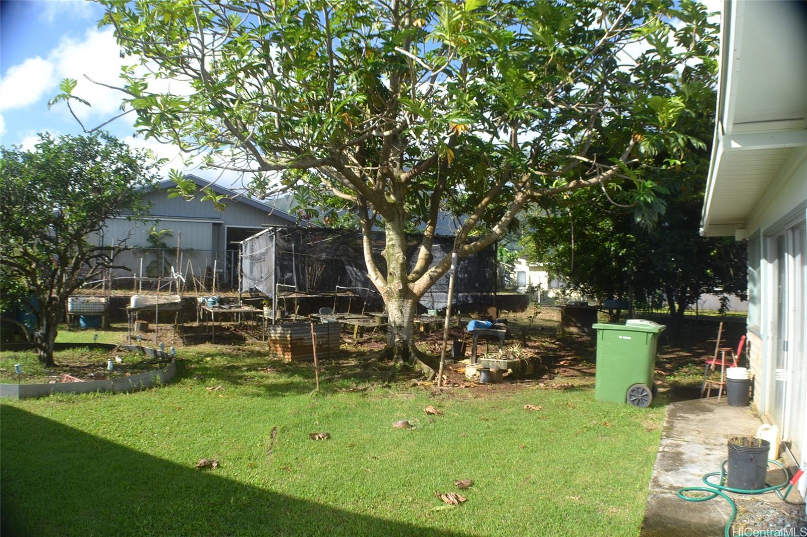 Photo 4 of 20
